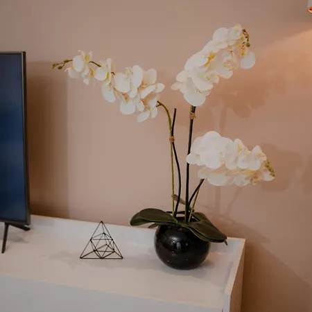 Drive Rooms&apartments Aparthotel